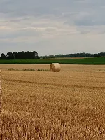 Balers