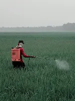 Pesticides