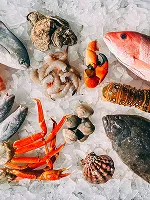Seafood