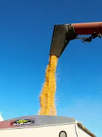 Feed Mixers