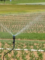 Irrigation Systems