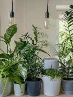 Planters