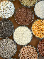 Grains